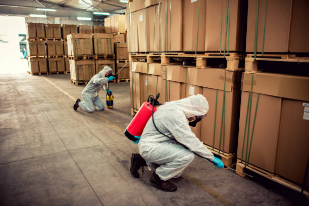 Best Pest Removal Services  in Castle Hills, TX