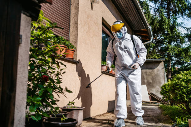 Best Pest Control Treatment  in Castle Hills, TX
