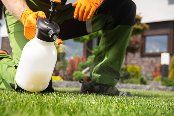 Best Best Pest Control Companies  in Castle Hills, TX