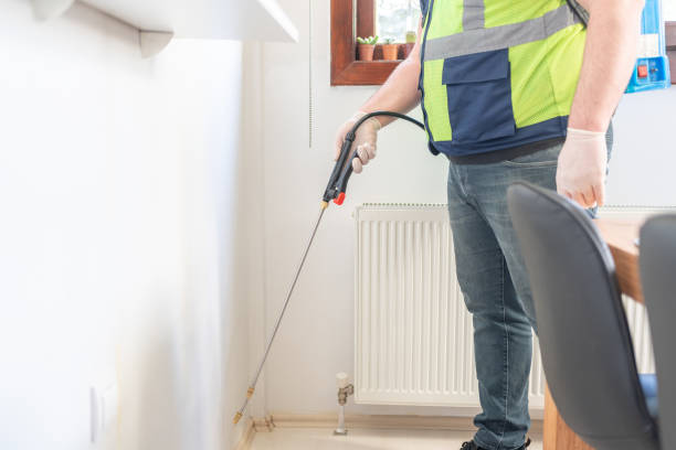 Best Affordable Pest Control Services  in Castle Hills, TX