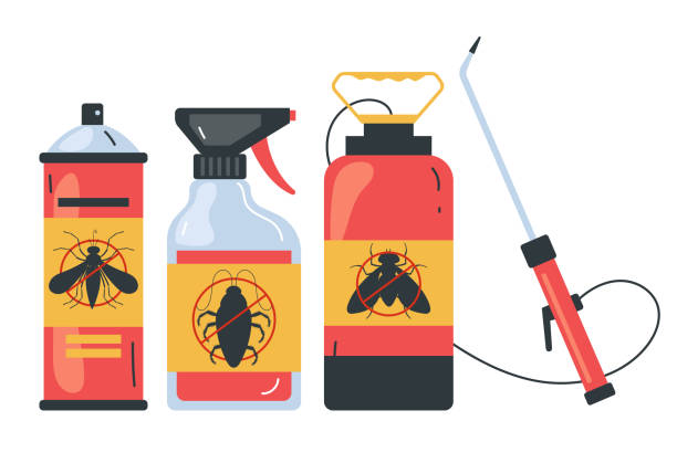 Wasp Removal Services in Castle Hills, TX
