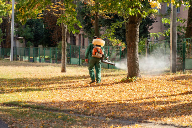 Best Pest Control Near Me  in Castle Hills, TX